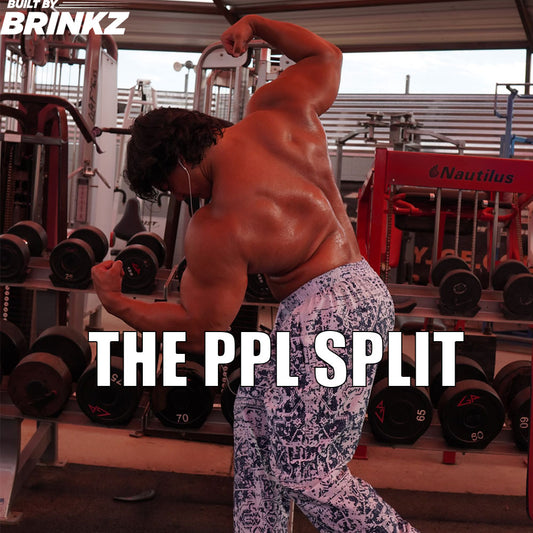 Push Pull Legs Program